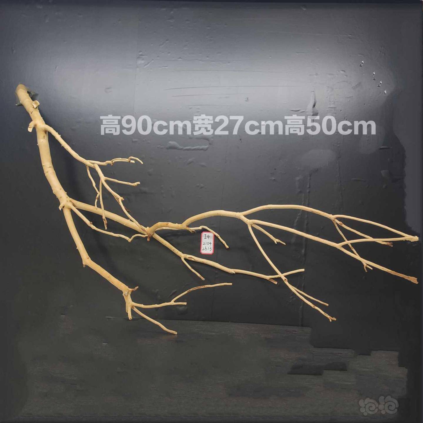 造景素材74鹿角枝