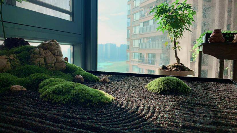 微景观微景观条叔的枯山水日常贰