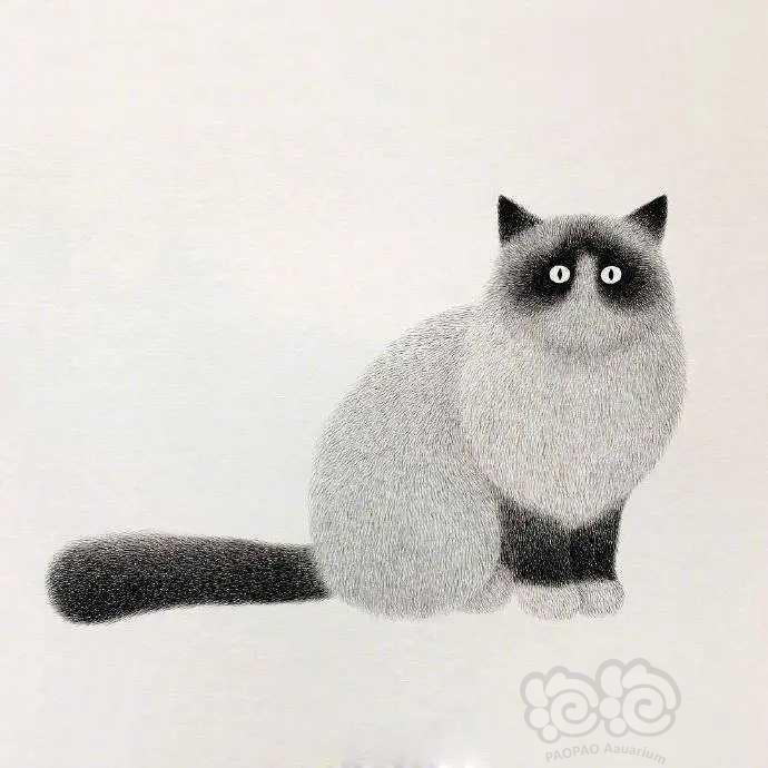 可爱的猫咪插画
插画师:Kamwei Fong-图5