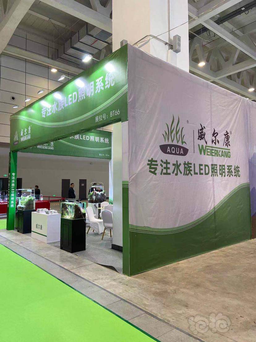 【交流】威尔康——2021第八届中国（山东）国际宠物水族展-图3