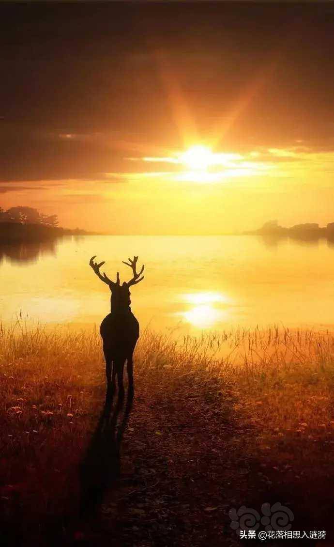 落日余晖下的光影大自然的画卷