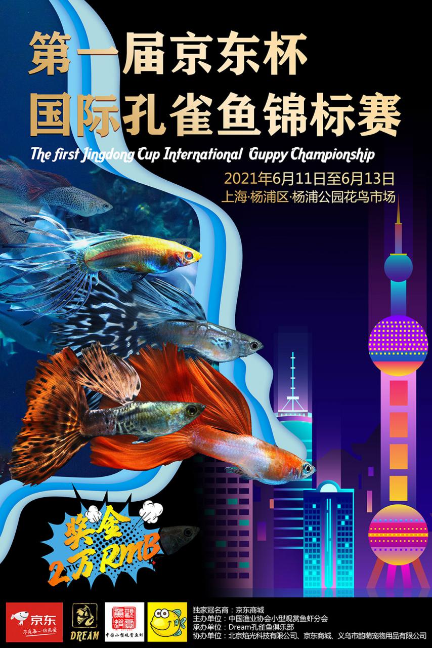 预告：第一届京东杯国际孔雀鱼锦标赛-图1