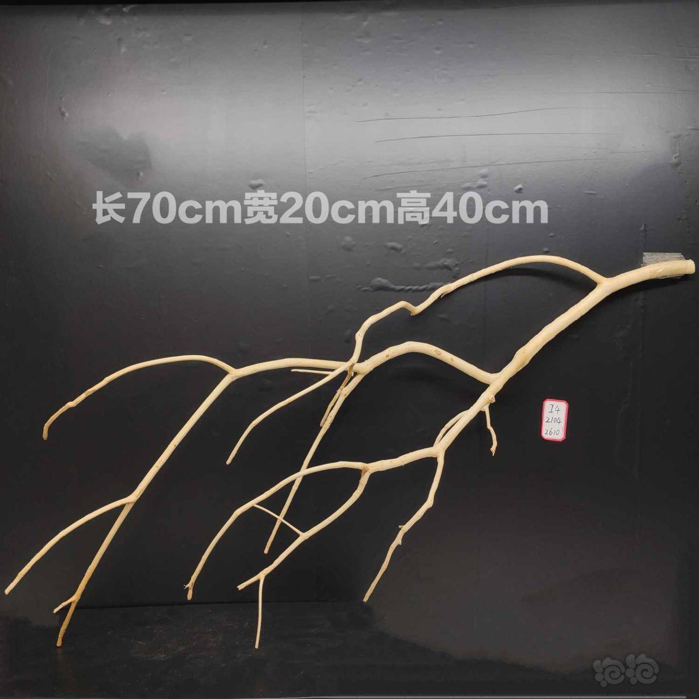 造景素材74鹿角枝