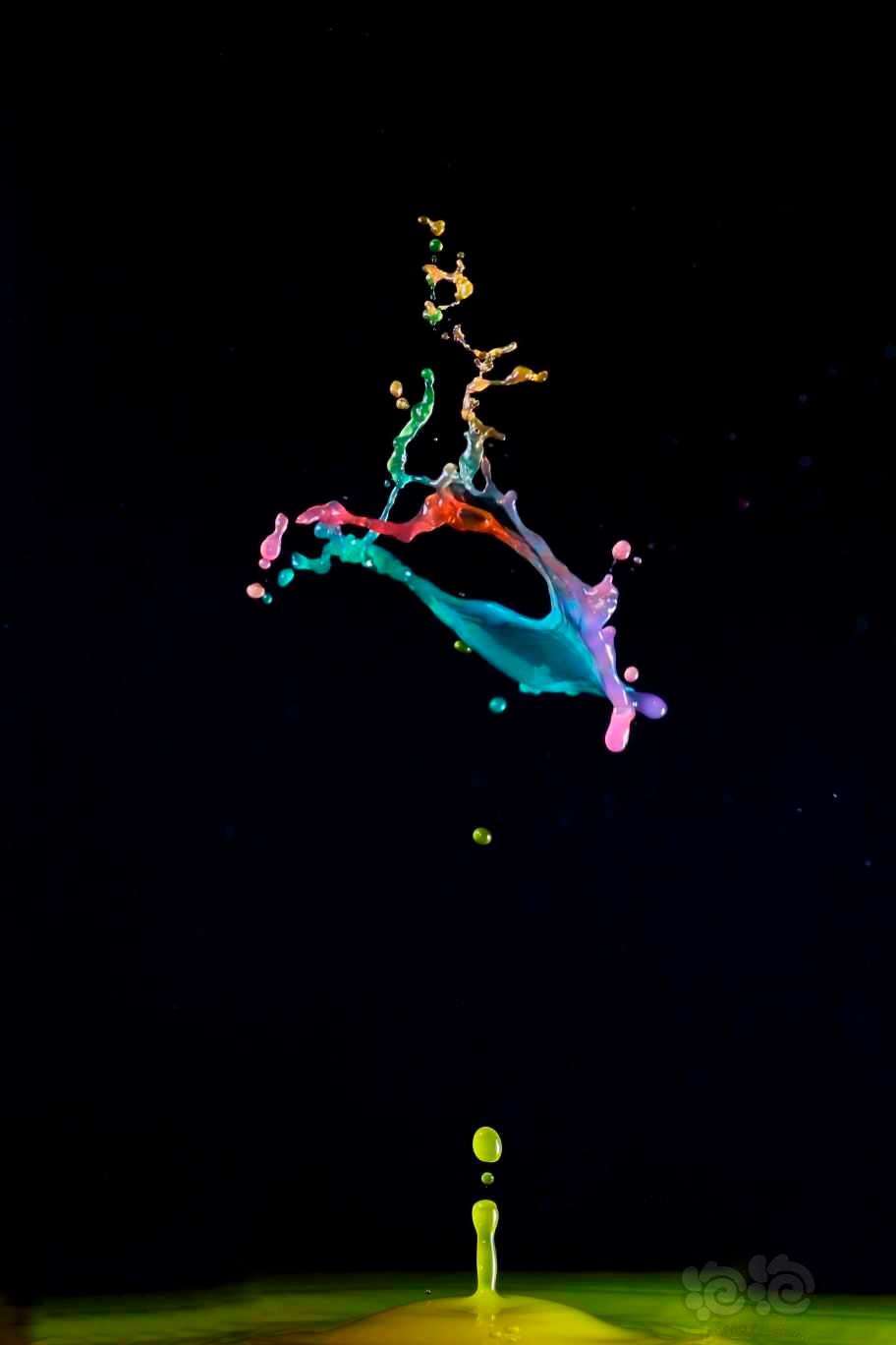 多姿多彩的水滴-图2