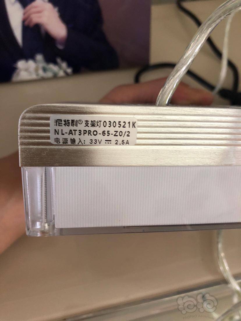 出尼特利at3pro伊罕精巧40圆叶辣椒k3