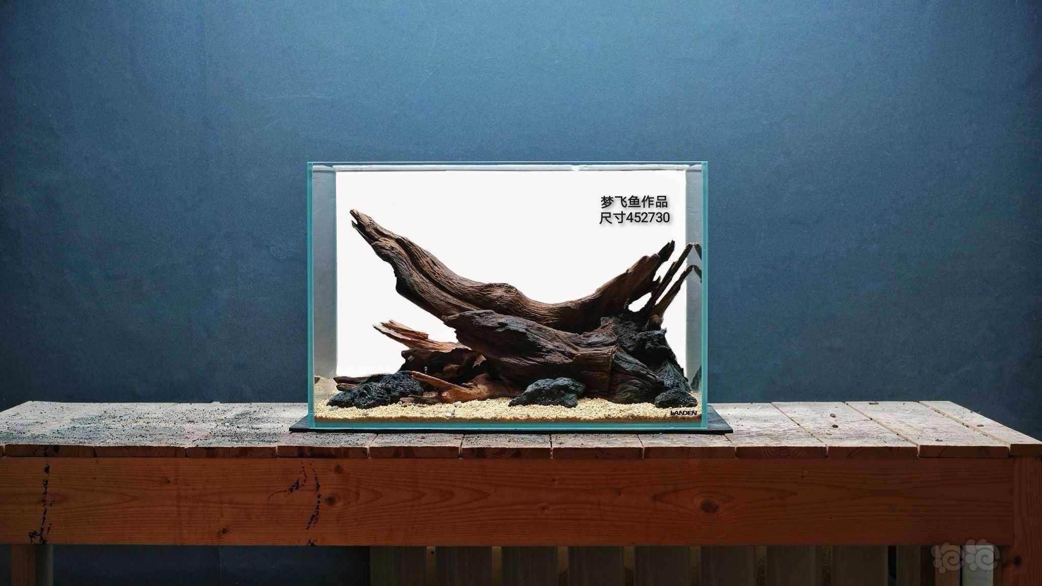 沉木造景作品