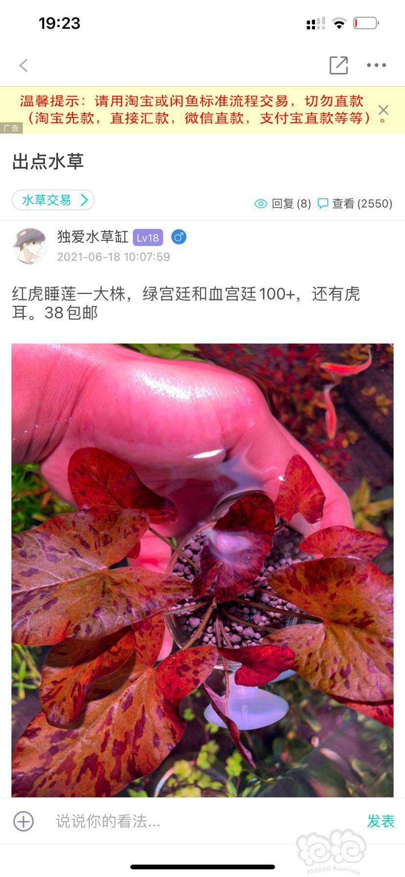 论坛用户卖水草 结果水草烂了不给退货 泡泡水族