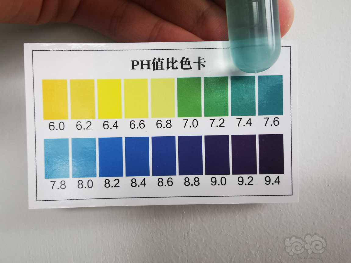 开缸26天亚硝酸盐持续下降