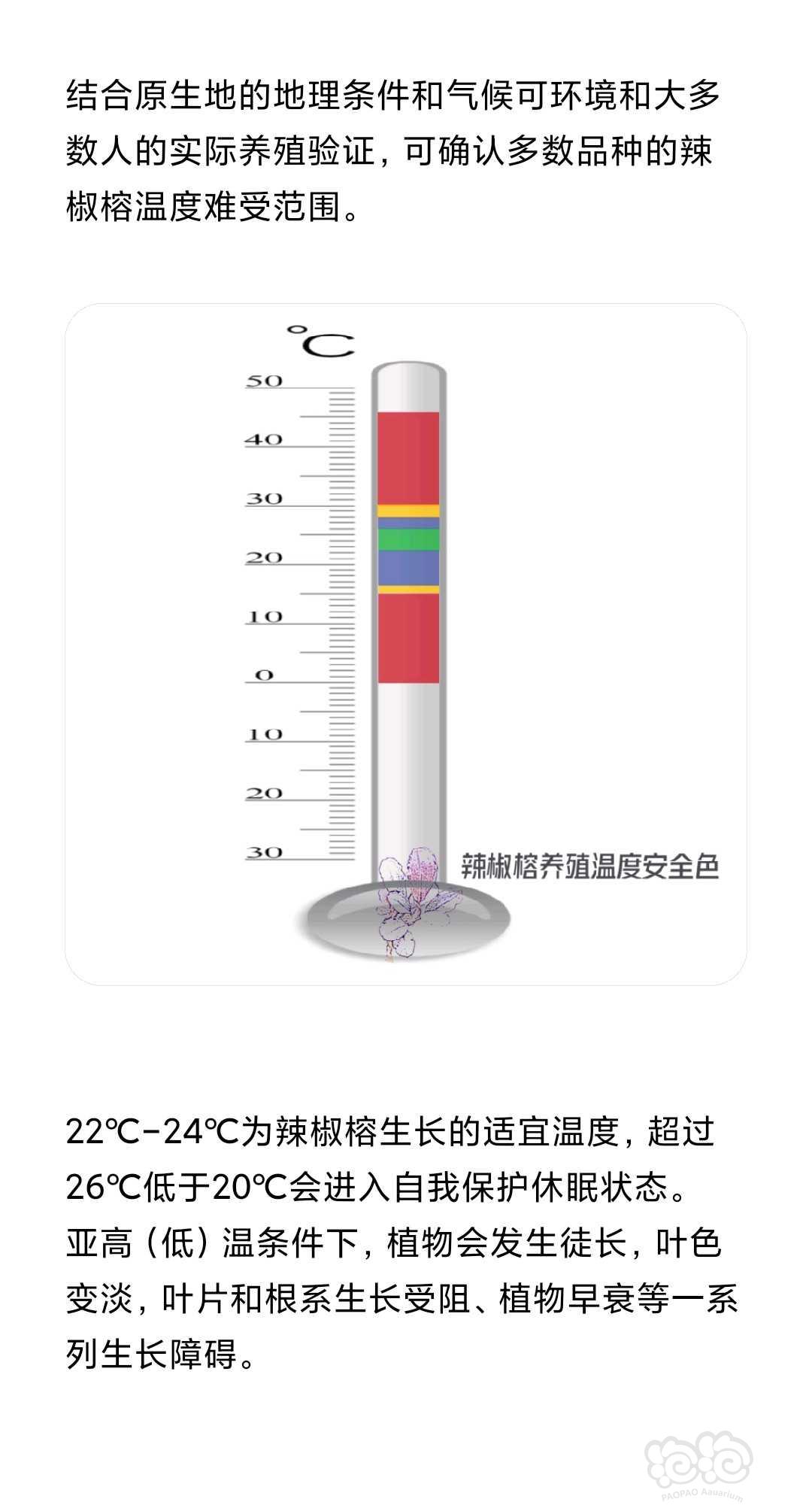 关于温度对辣椒榕影响的知识-图4
