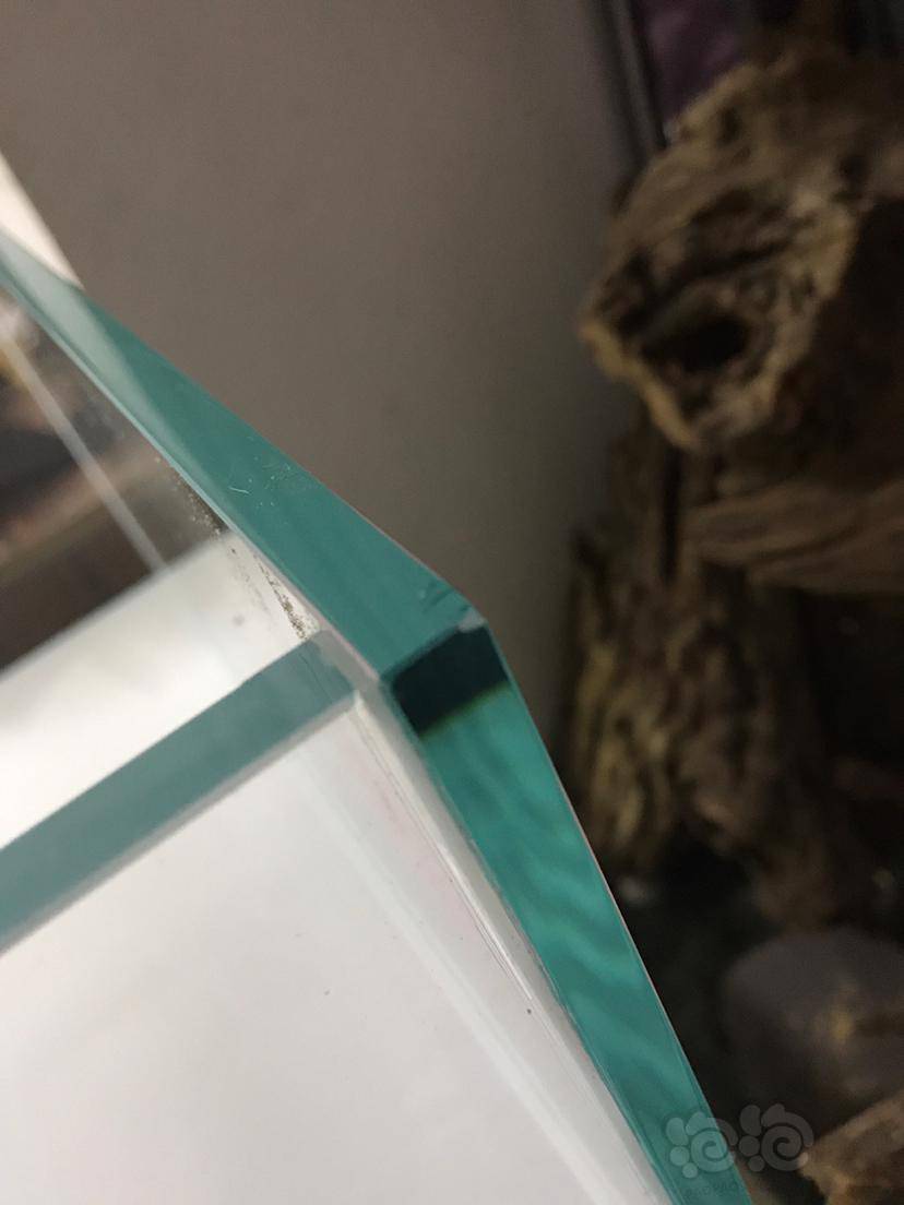 朋友们鱼缸有一个小角碎了有影响吗