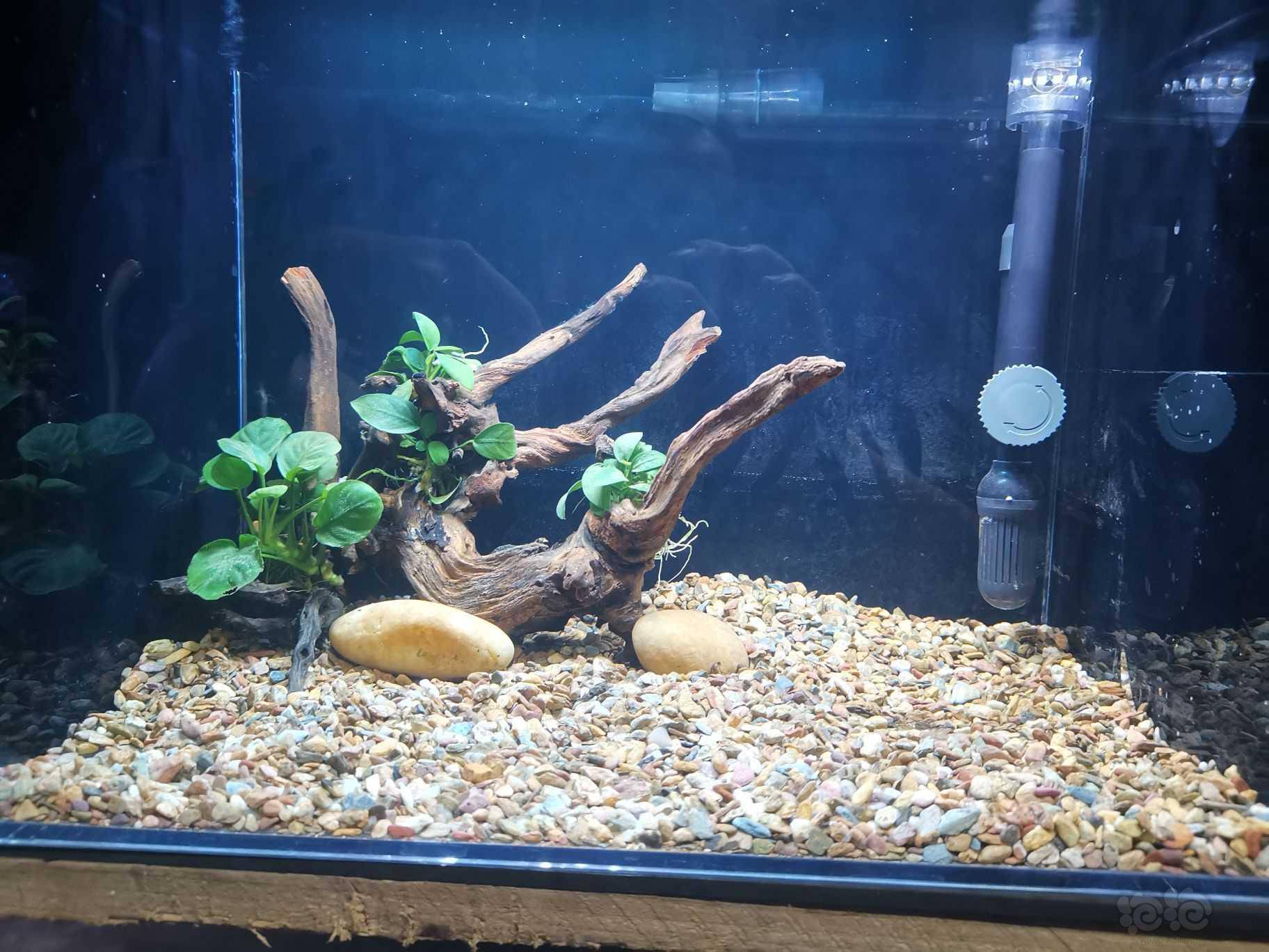 为雷龙准备的两个40缸