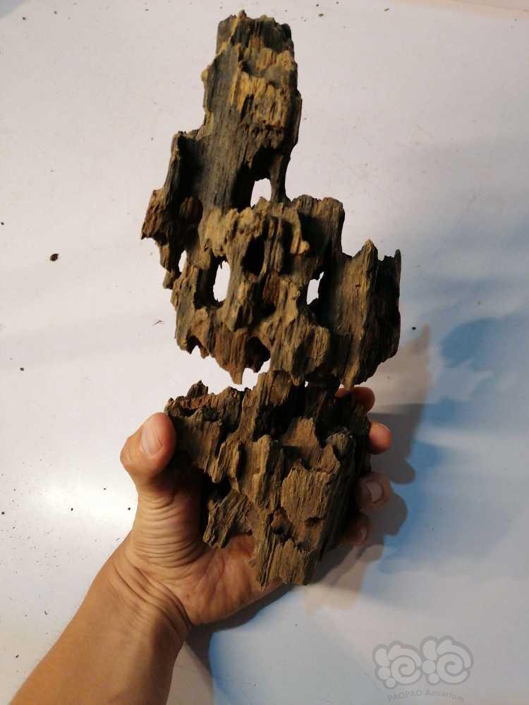 【用品】2021-07-23#RMB拍卖#虾木龙骨木一块-图3