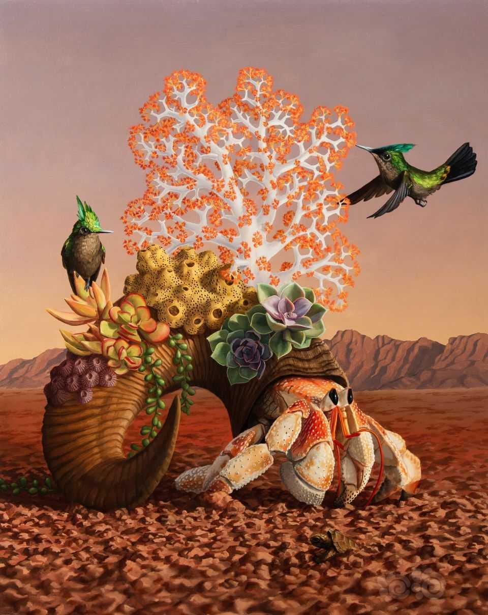 乔恩·清（Jon Ching）的油画，将植物和动物奇妙的融合-图4