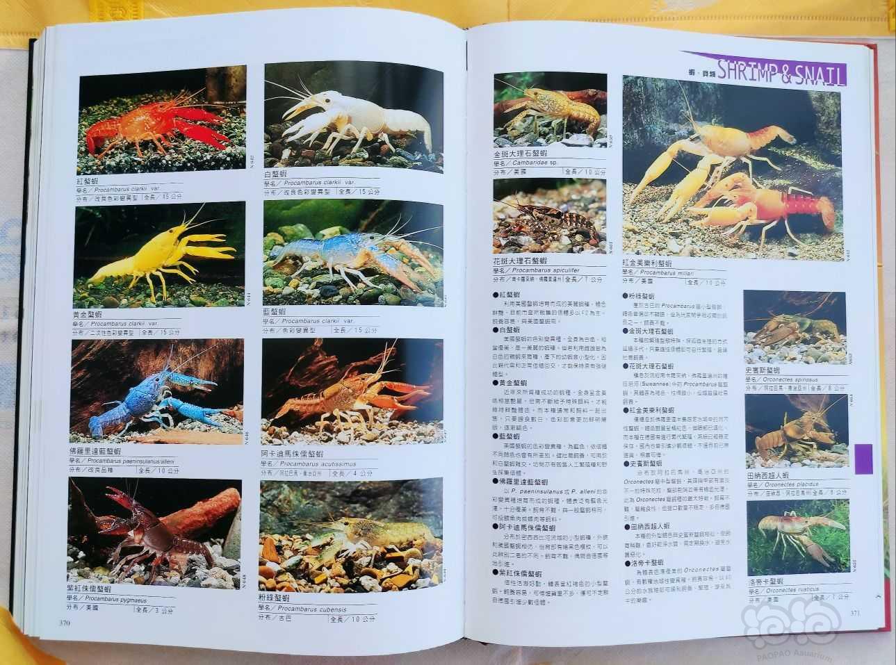 出水族书籍《热带鱼、水草2100种图鉴》-图9