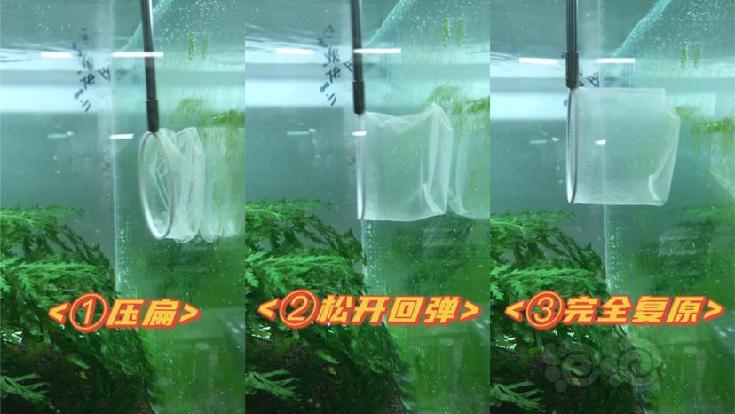 【用品】2021-07-07#RMB拍卖3D手工虾捞一支（多份）-图6