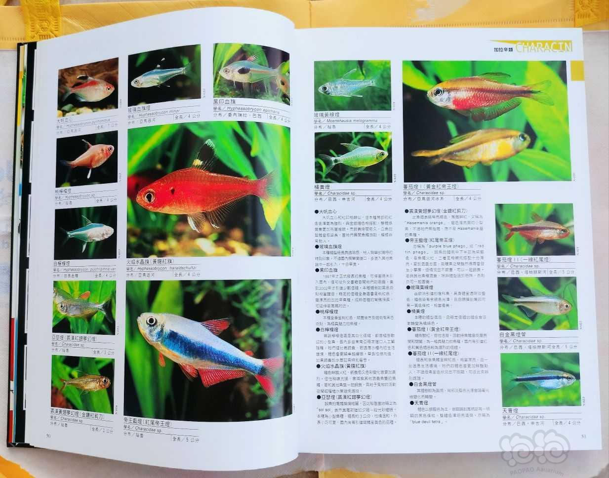 出水族书籍《热带鱼、水草2100种图鉴》-图3