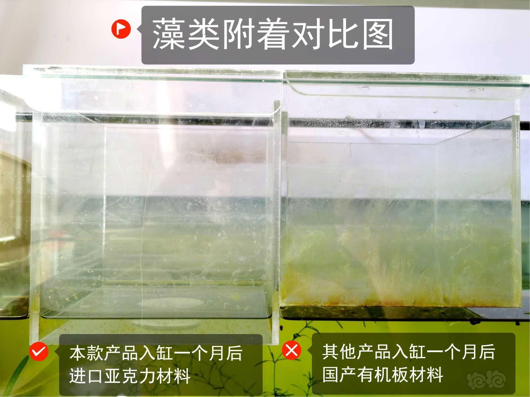 水晶虾、米虾、孔雀鱼隔离盒、繁殖盒-图6