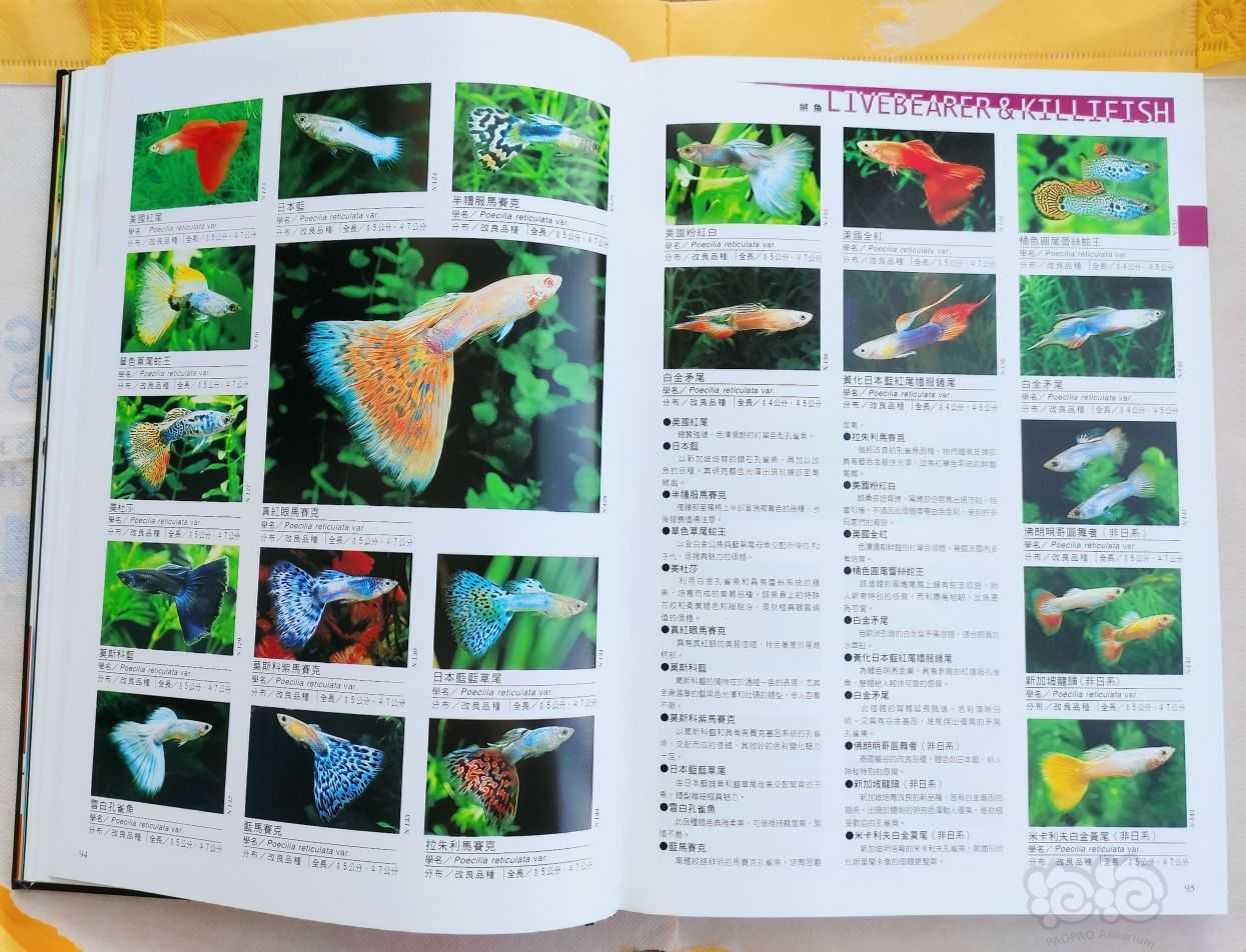 出水族书籍《热带鱼、水草2100种图鉴》-图4