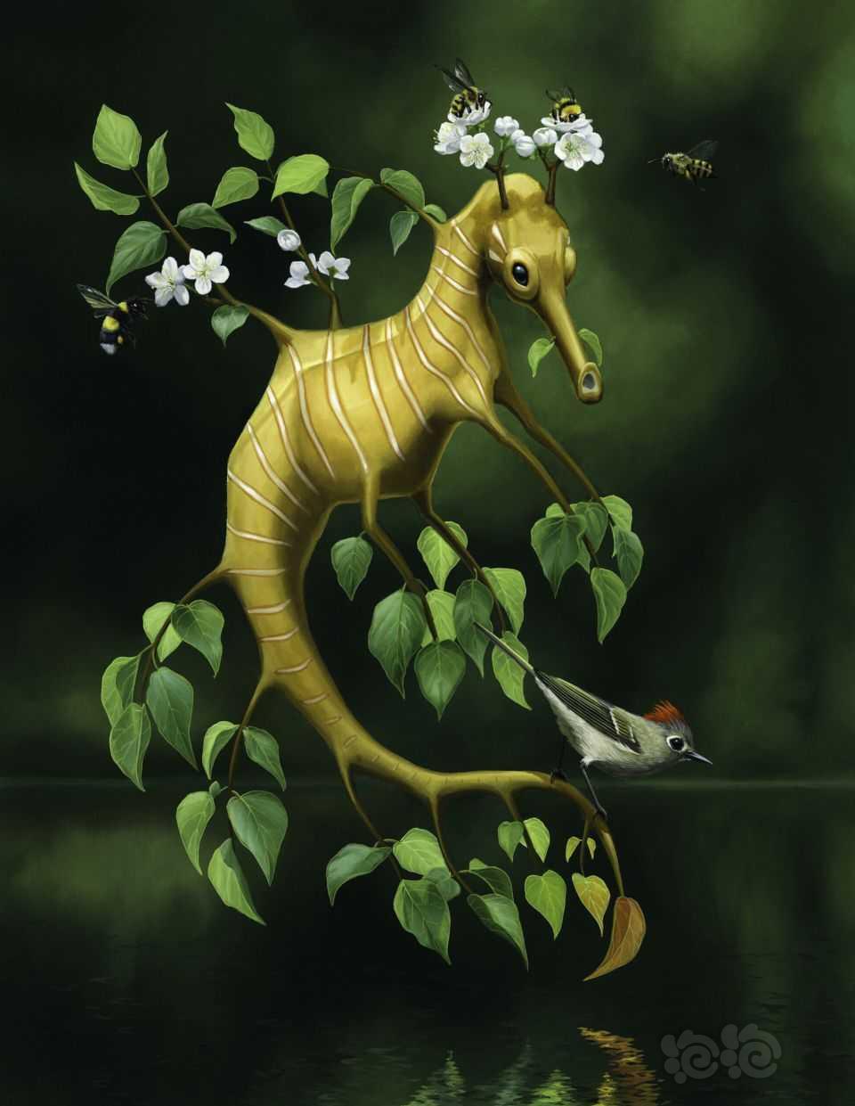 乔恩·清（Jon Ching）的油画，将植物和动物奇妙的融合-图3