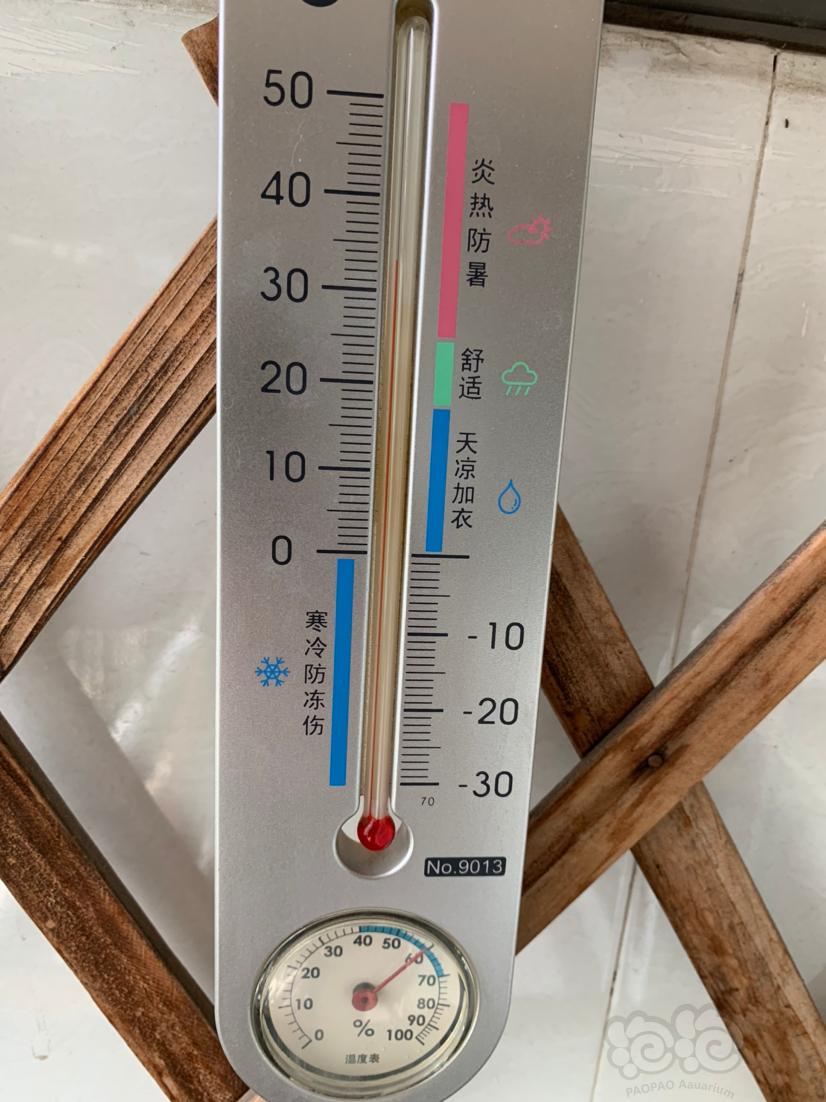 阳台缸温度这块拿捏的比较死😤-图1