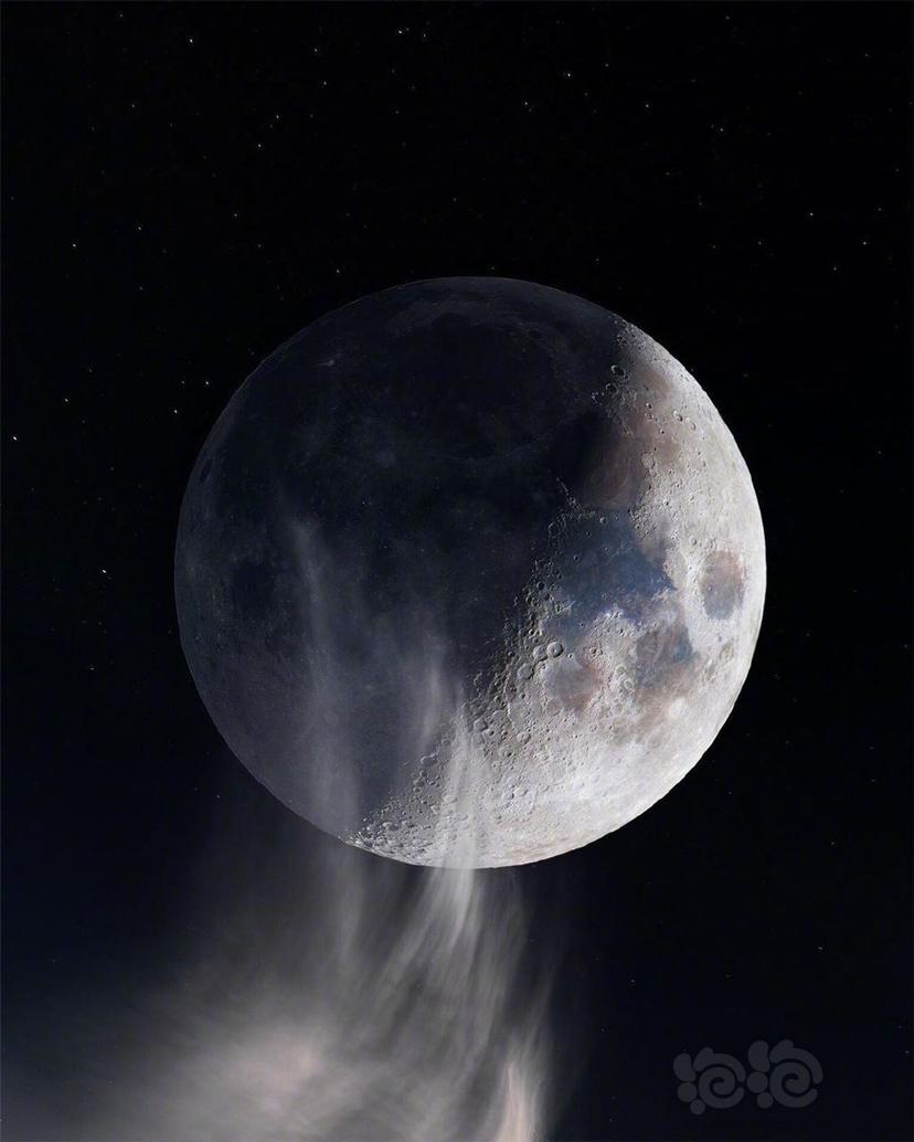 『 月神Moon 』-图5