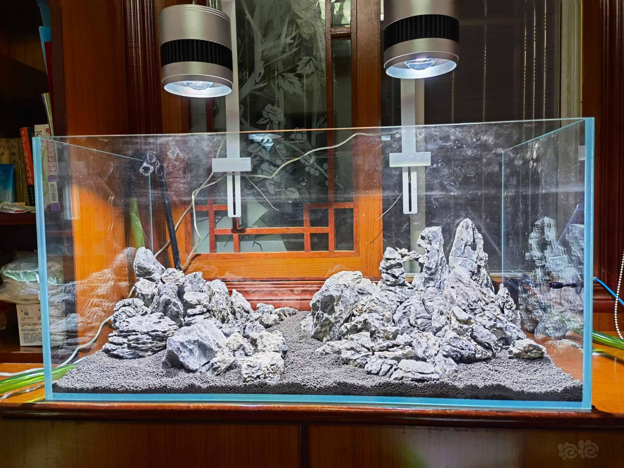 青龙石造景有啥秘诀没