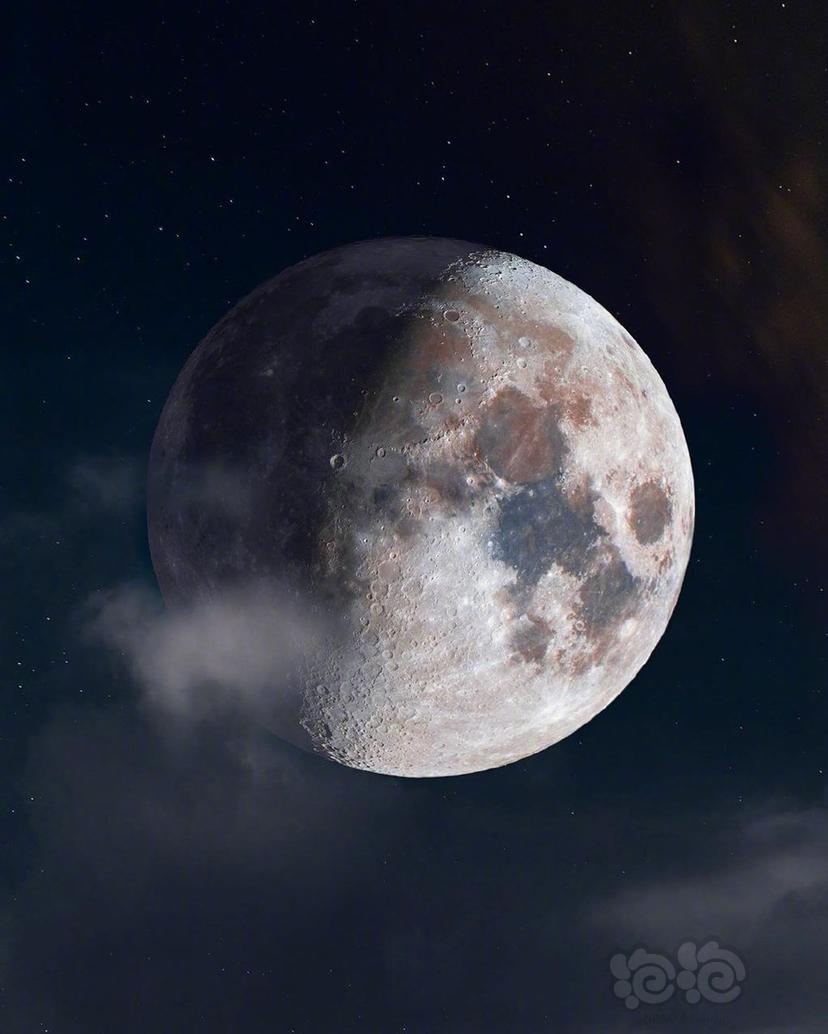 『 月神Moon 』-图6