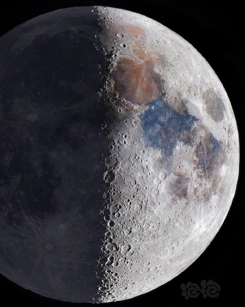 『 月神Moon 』-图1