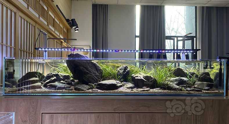 大锤造景南风tm系列灯盘鱼缸草缸水草灯led全光谱原生缸爆藻 泡泡水族