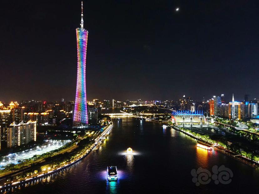 广州夜景-图2