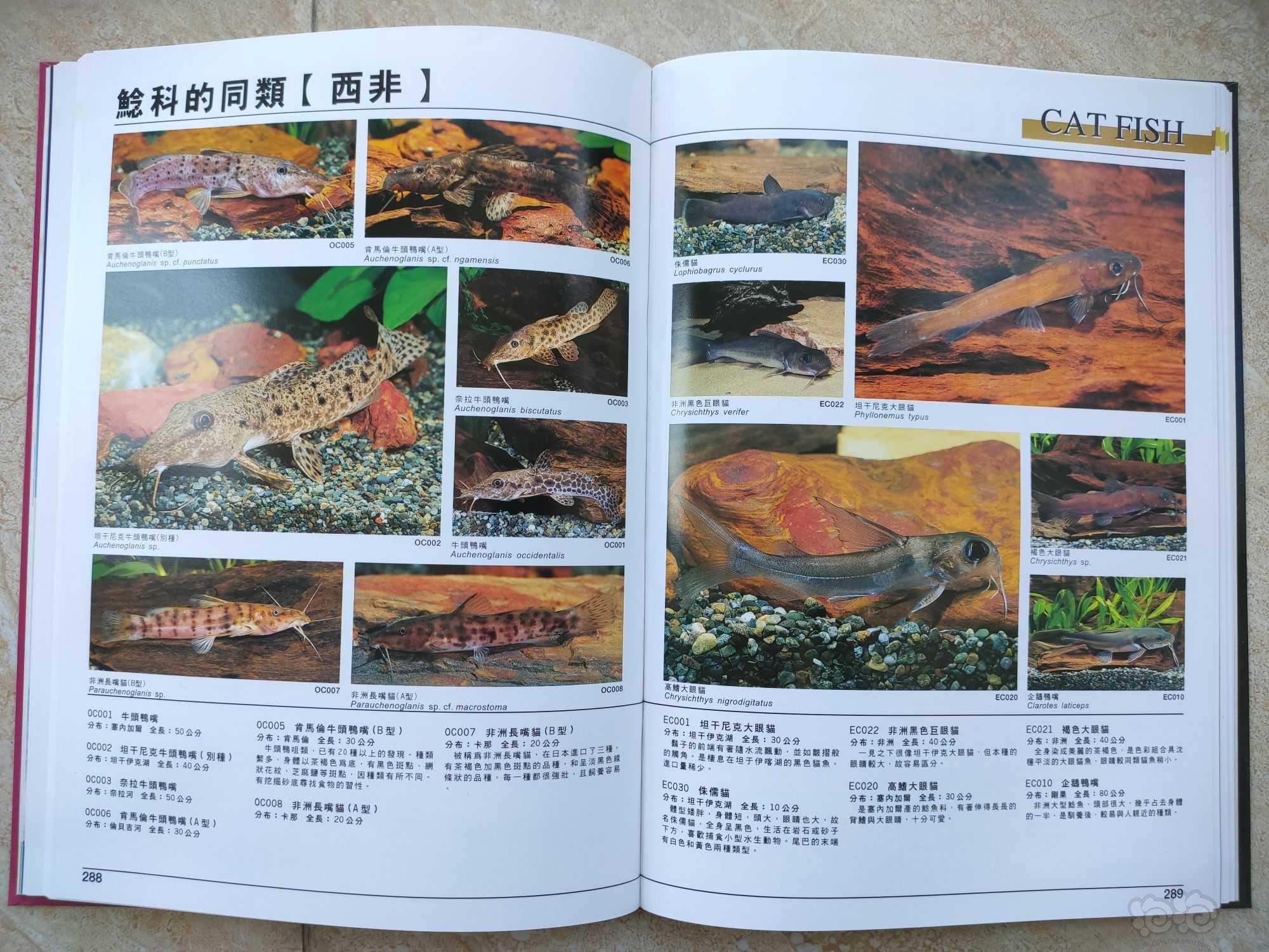 出两本书《热带鱼2300种图鉴I》和II-图5