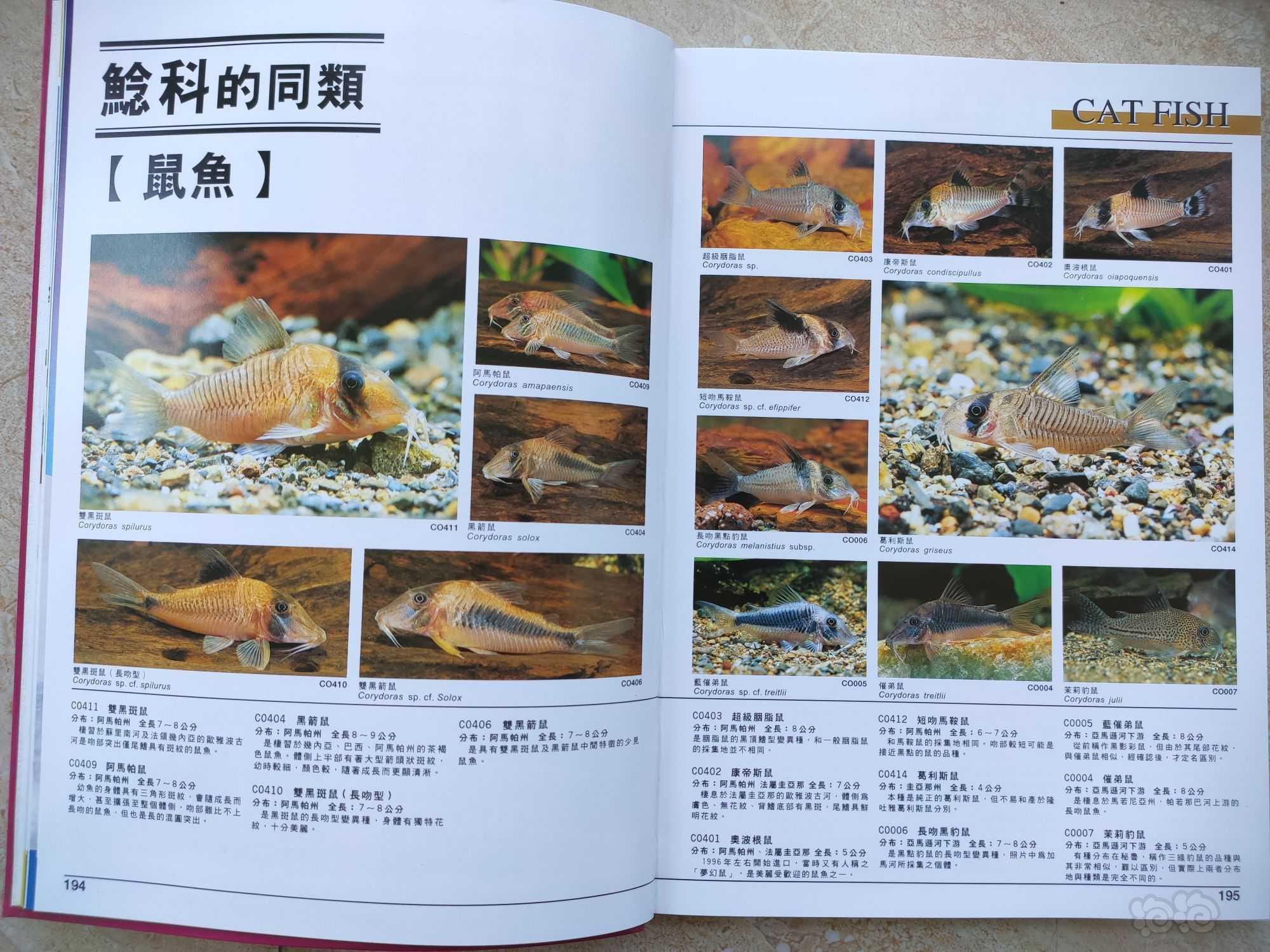 出两本书《热带鱼2300种图鉴I》和II-图3