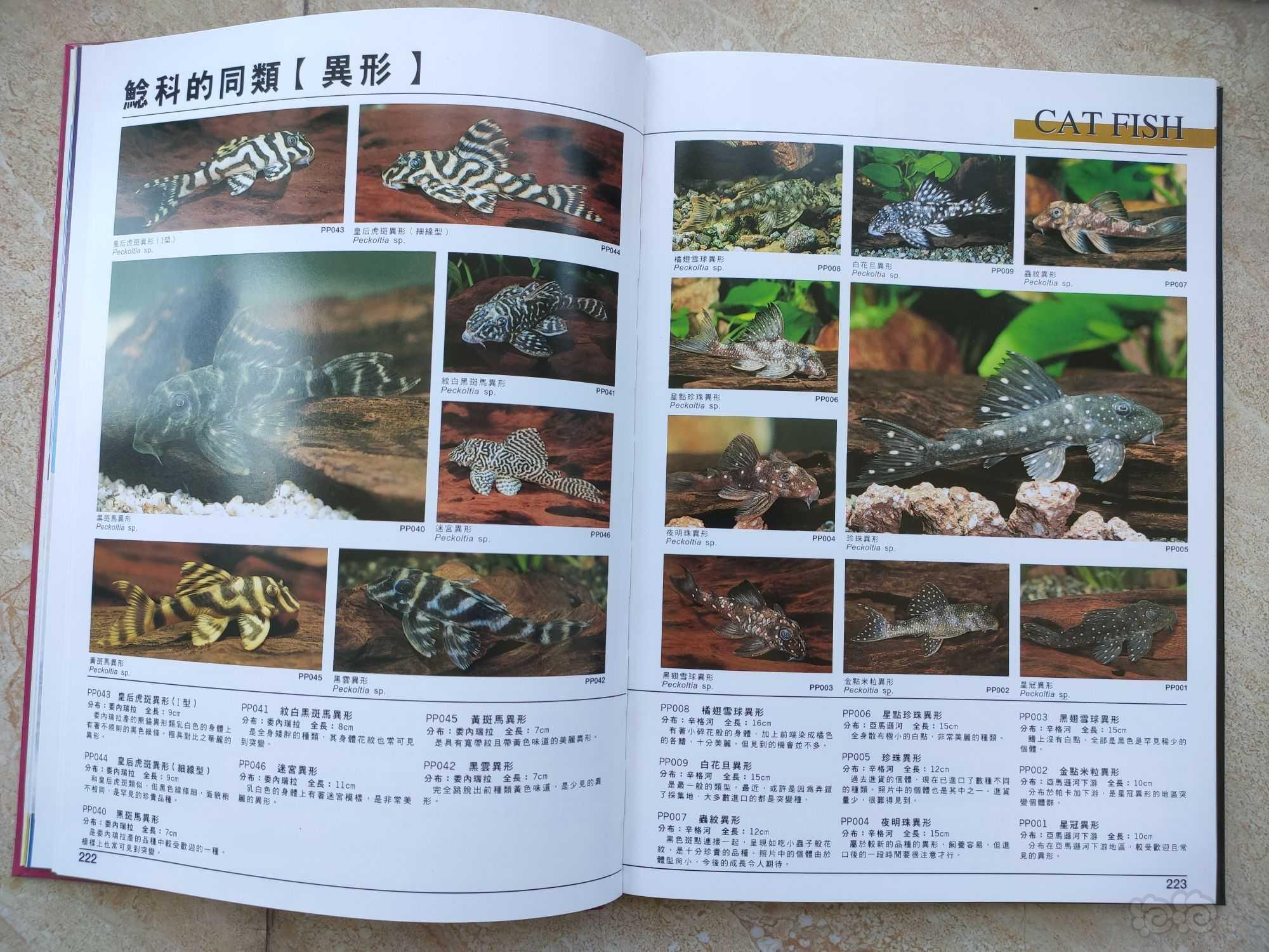 出两本书《热带鱼2300种图鉴I》和II-图4