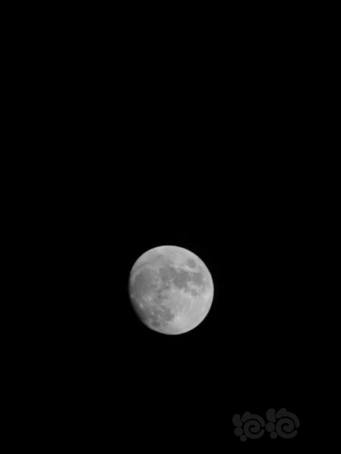 赏月🎑-图2