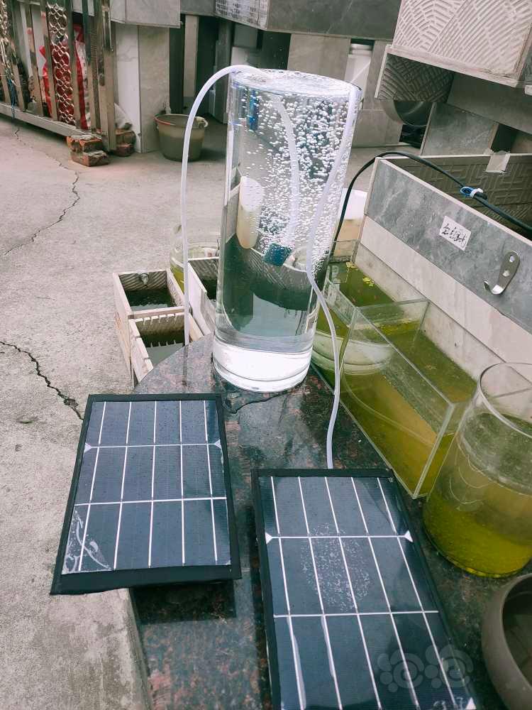 太阳能增氧泵-图1