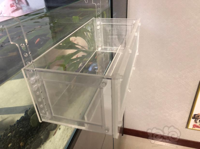 4面透水，水晶虾专用大号隔离盒-图2
