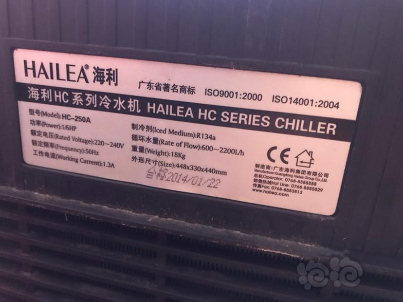深圳继续出闲置海利HC-250A 冷水机-图2