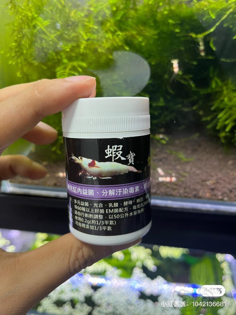 【用品】2021-12-18#RMB拍卖#森林虾宝雪花菌 1瓶-图1