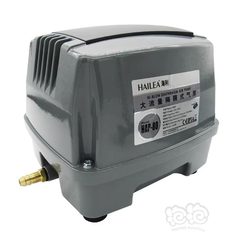 【求购】收气泵——海利HAP80(60w)或者HAP100(80w)-图1