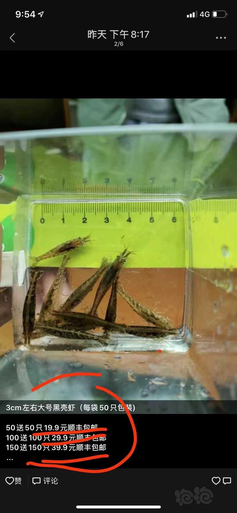 黑壳虾6.9元包邮半斤40元一斤70元水族用品福利价-图4