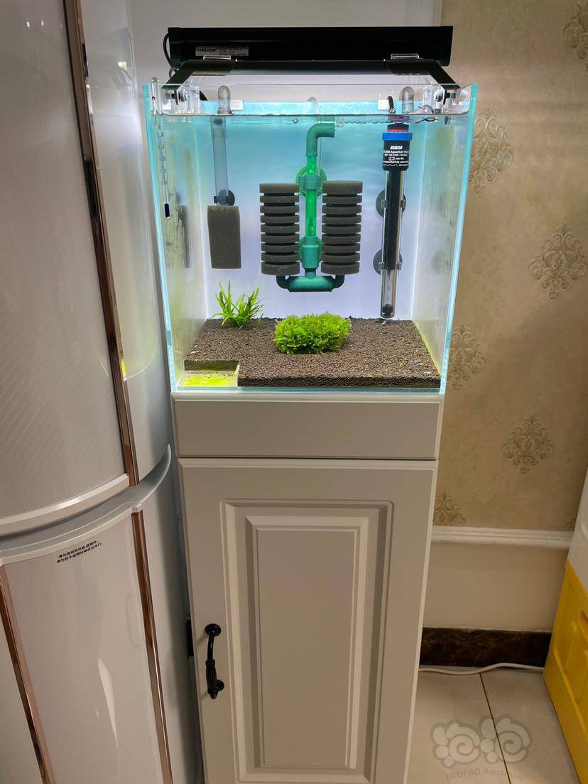 有大神这种出水口放到30方缸怎么样