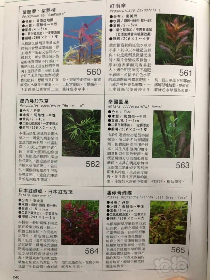 《全新水草600种图鉴》绝版好书，不多了。喜欢的别犹豫了-图4