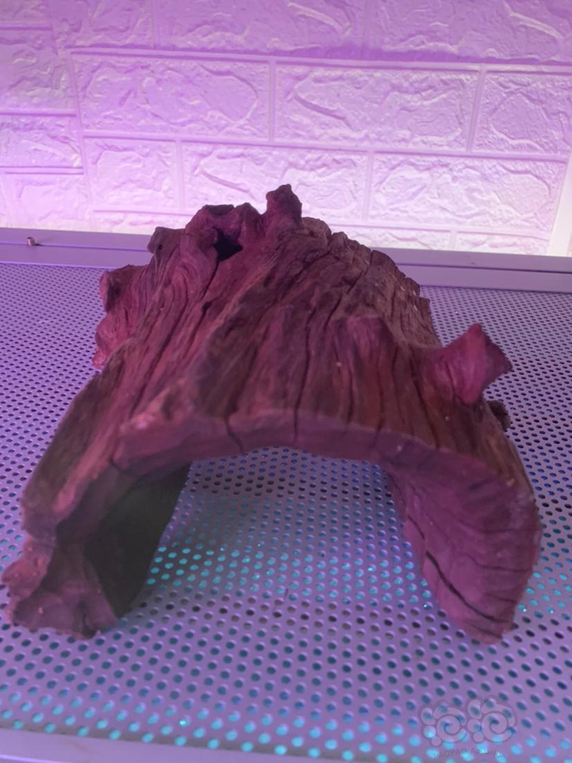 紫柚木 玛瑙石头  躲避木头-图3