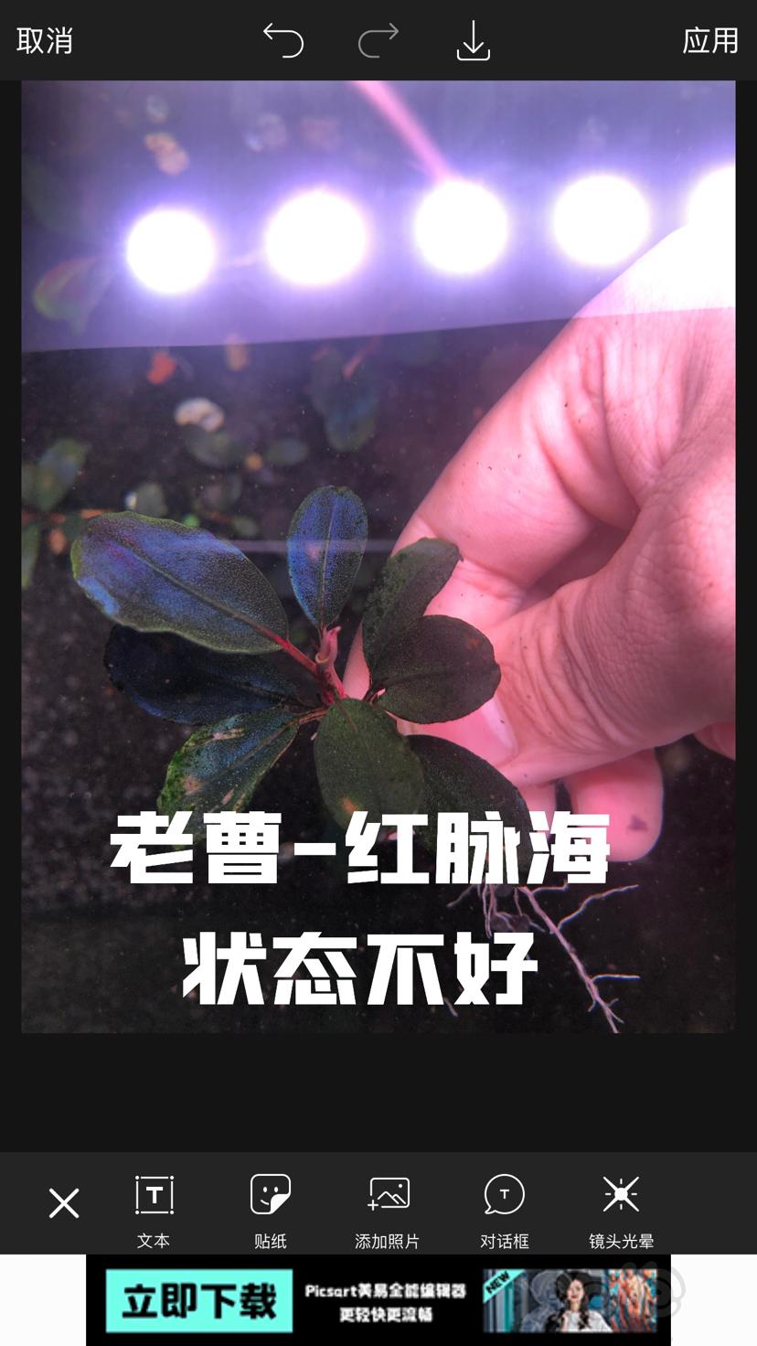 【辣椒榕】北京周边出点11蓝和老货-图3