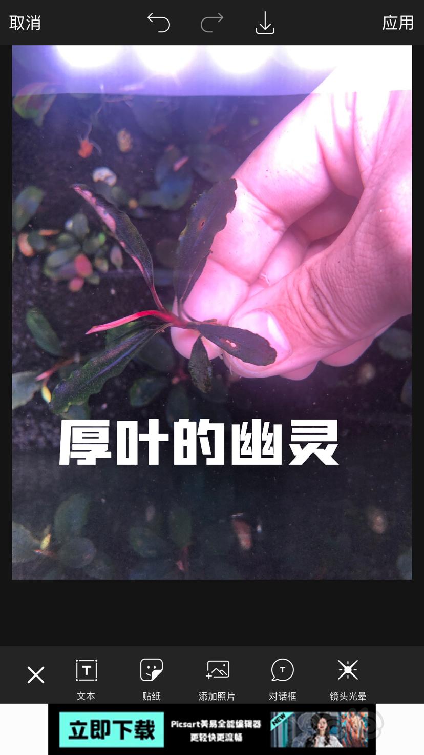 【辣椒榕】北京周边出点11蓝和老货-图5