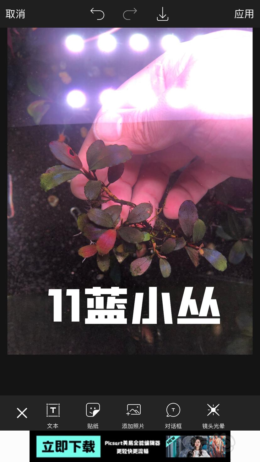 【辣椒榕】北京周边出点11蓝和老货-图2