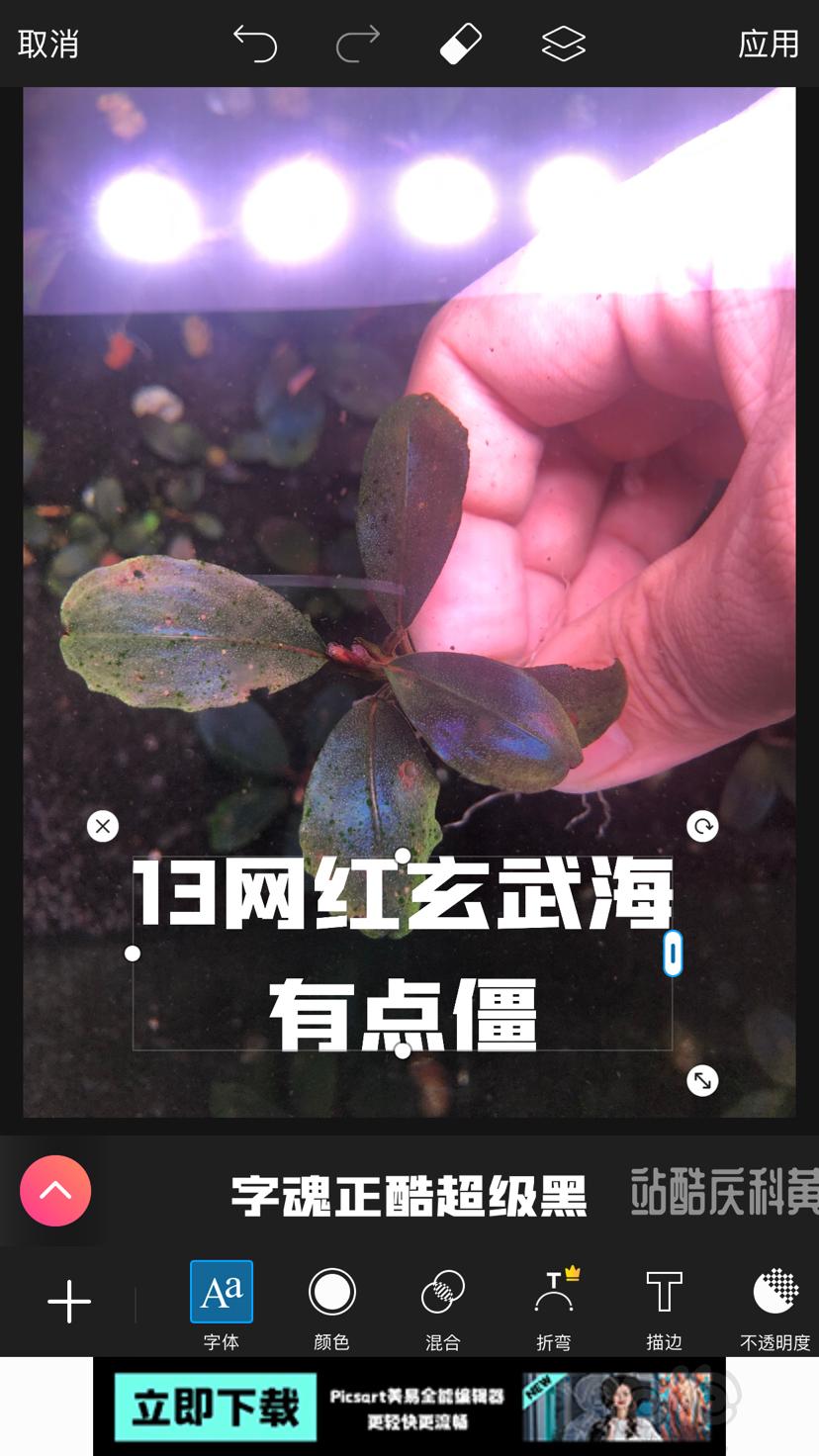 【辣椒榕】北京周边出点11蓝和老货-图4