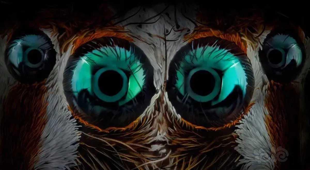 微距镜头下蜘蛛的眼睛
西班牙摄影师 Javier Rupér-图6