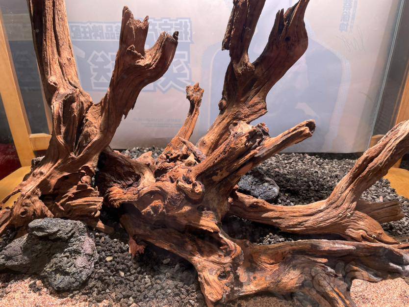 岀一套60缸沉木骨架