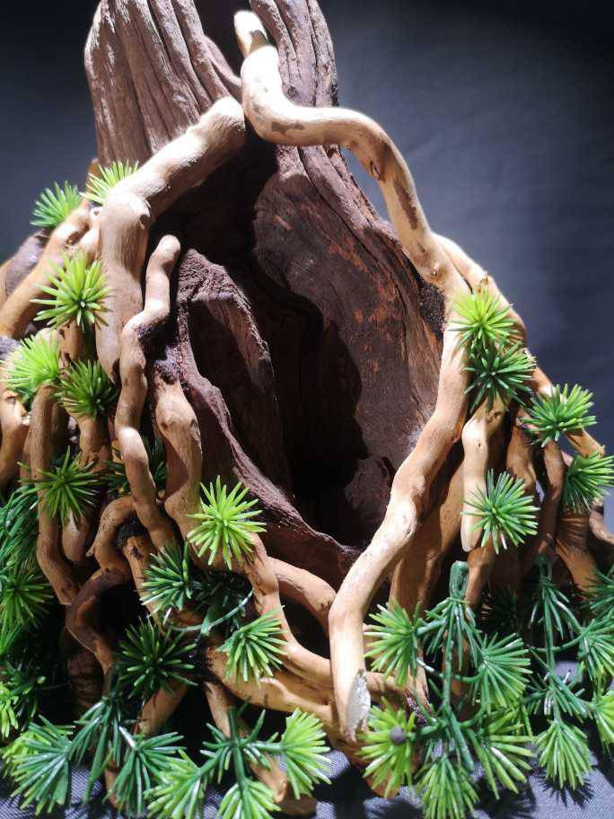 现货鱼缸造景骨架生命之树